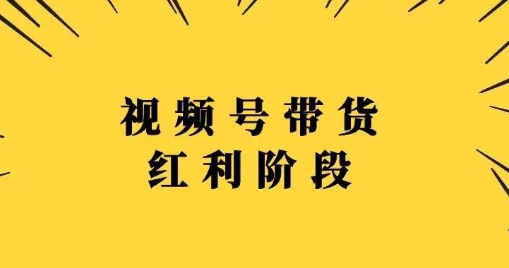 【副业3325期】视频号带货赚钱吗：盗坤-视频号带货训练营，复制搬运赚钱（附电商公园文件）