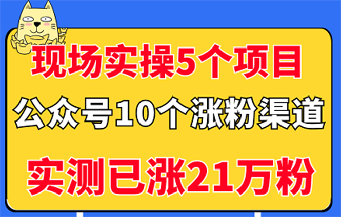 【副业3330期】公众号怎么赚钱：实操5个公众号项目，10个微信涨粉渠道（视频教程）