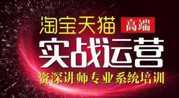 淘宝电商运营：电子商务实战特训营，308种方式玩转淘宝电商运营