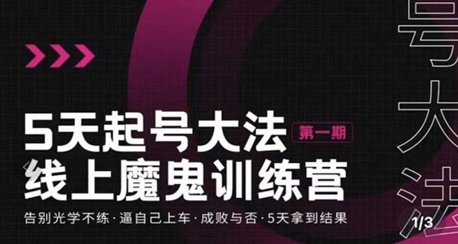 抖音起号最快的方法：五天抖音起号魔鬼训练营，5天拿到结果（全套视频）