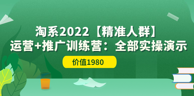 【副业3669】淘宝店铺怎么开：淘系2022【精准人群】运营+推广全部实操（价值1980）