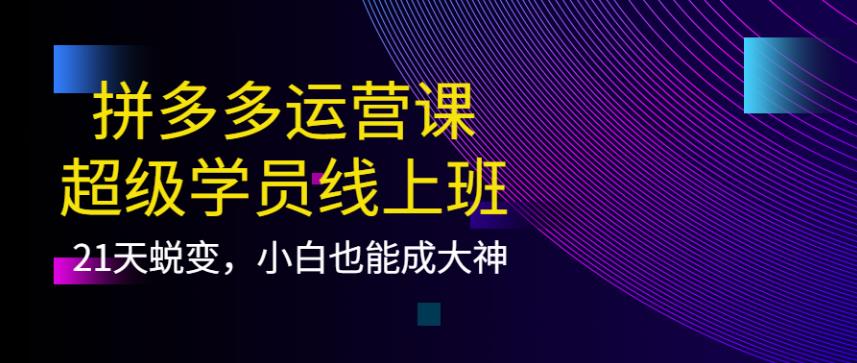 拼多多怎么开店：21天蜕变，小白也能成拼多多大神