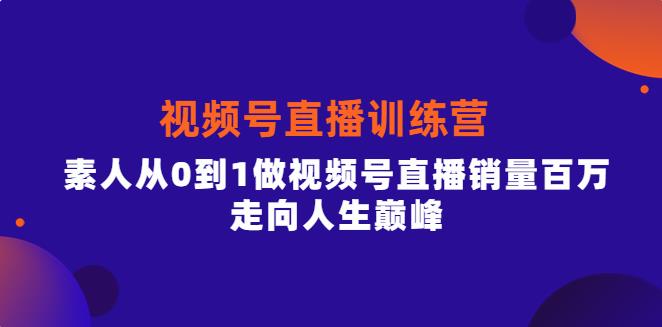 【副业3813】视频号怎么直播带货：从0到视频号直播销量百万，行动派·视频号直播训练营