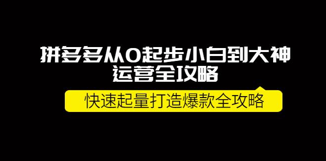 【副业3796】拼多多赚钱项目：拼多多从小白到大神打造10W+爆款全攻略